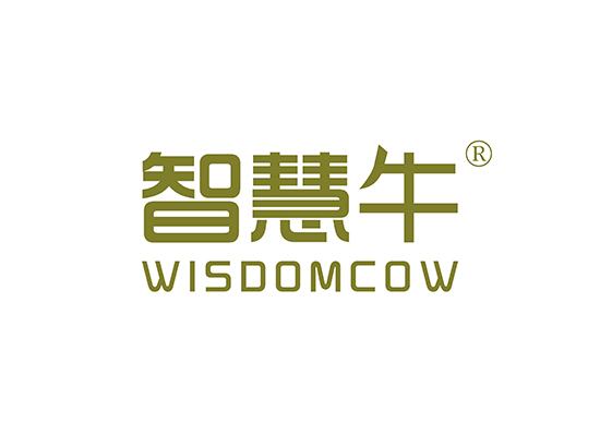 智慧* WISDOM CO*