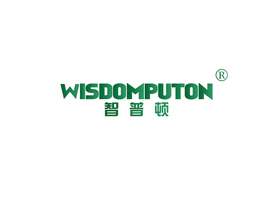 智普* WISDOM PUTO*