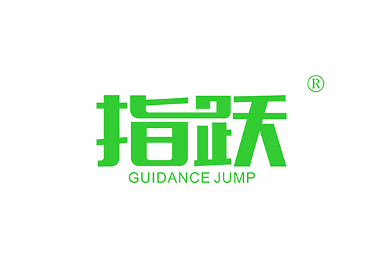 指跃 GUIDANCE JUMP