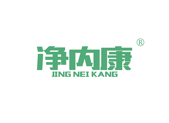 净内康 JINGNEIKANG