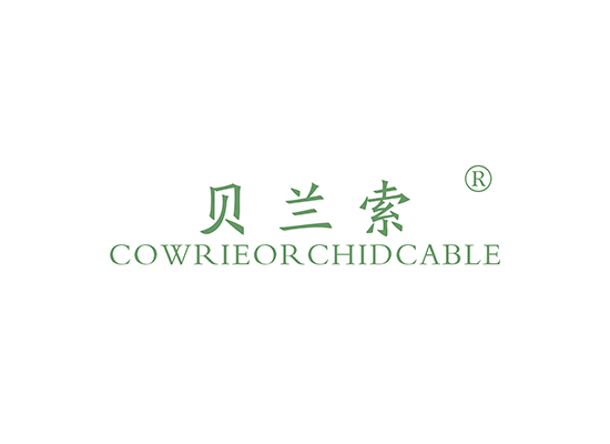 25-A6399 贝兰索 COWRIEOR CHIDCABLE