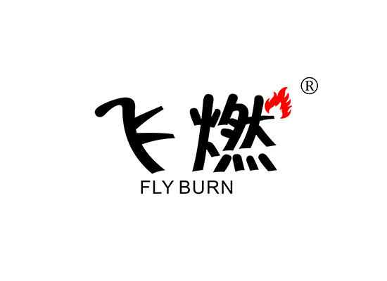 32-A621 飞燃 FLY BURN