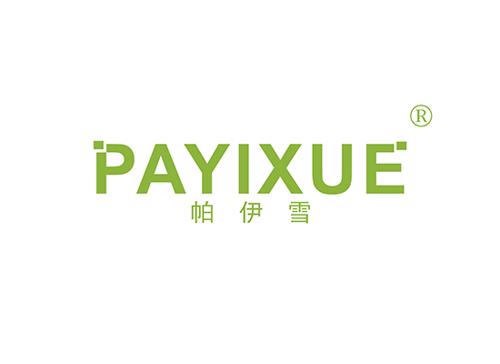 帕伊雪 PAYIXUE