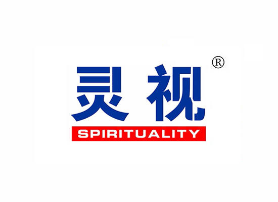 灵视 SPIRITUALITY