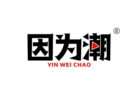 因为潮 YINWEICHAO