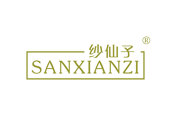 纱仙子 SANXIANZI