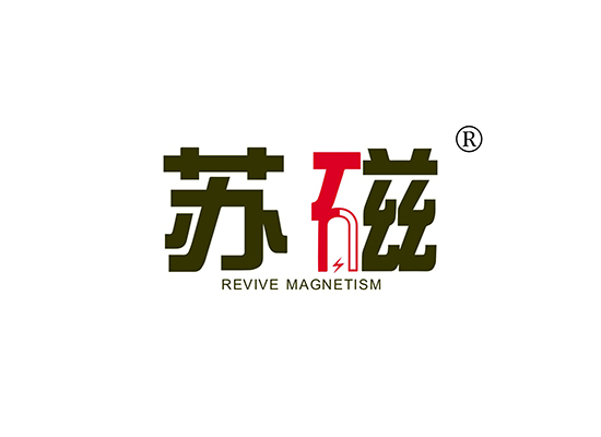 11-A2053 苏磁 REVIVE MAGNETISM