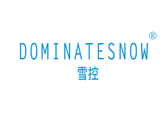 雪控 DOMINATE SNOW