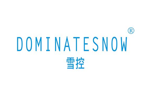 3-A3181 雪控 DOMINATE SNOW