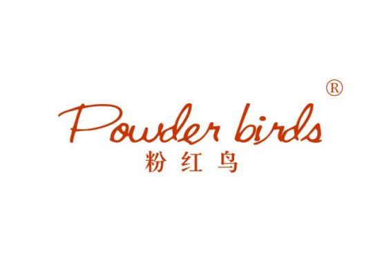 粉红鸟 POWDER BIRDS