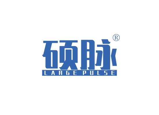 硕脉  LARGE PULSE