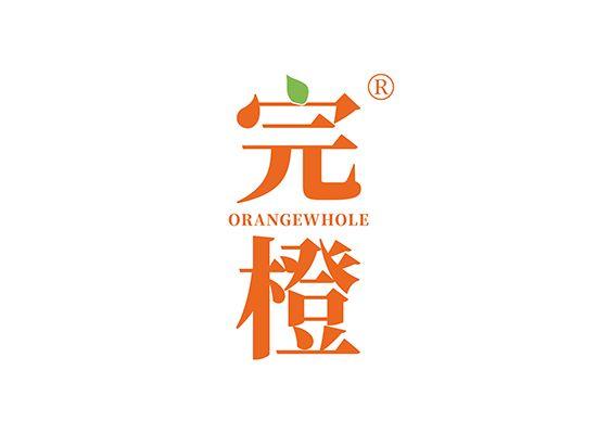 35-A1661 完橙 ORANGE WHOLE