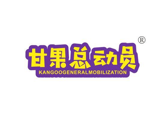 甘果总动员  KANGOO GENERAL MOBILIZATION