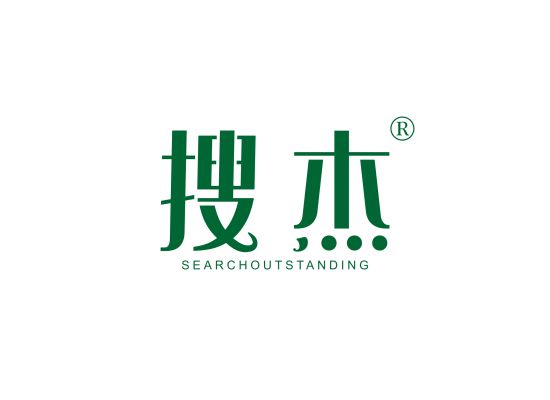 搜杰 SEARCHOUTSTANDING