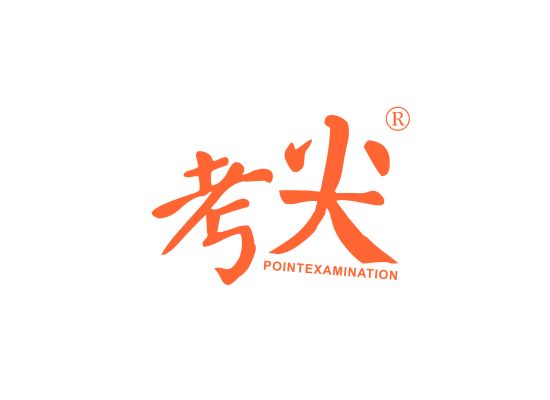 考尖 POINTEXAMINATION