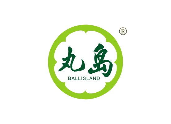 丸* BALLISLAN*