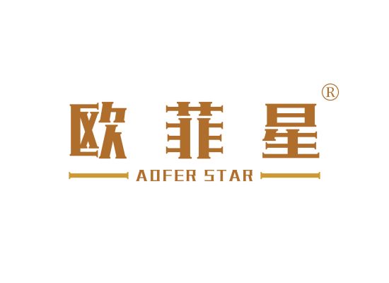 欧菲星 AOFER STAR