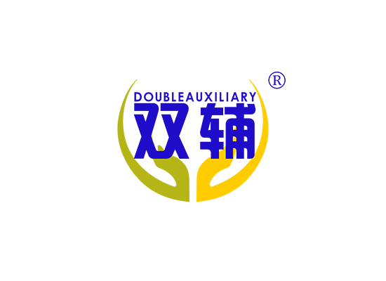 双辅 DOUBLEAUXILIARY