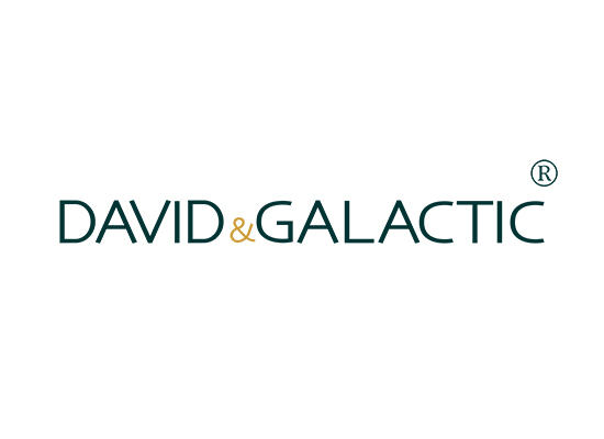 DAVID&GALACTIC
