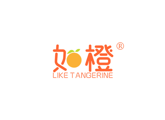 如橙 LIKE TANGERINE