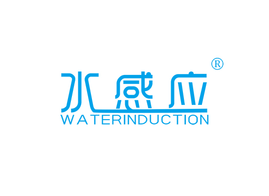 水感应 WATER INDUCTION