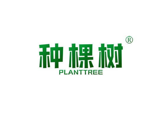 24-A1113 种棵树 PLANTTREE