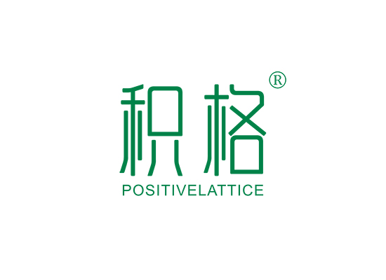 积格 POSITIVELATTICE