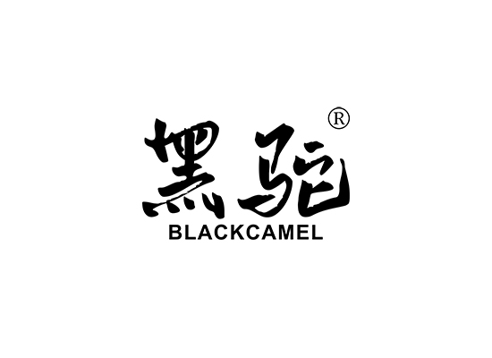 黑驼 BLACK CAMEL
