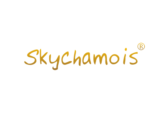 SKYCHAMOIS