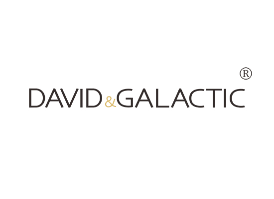 DAVID & GALACTIC