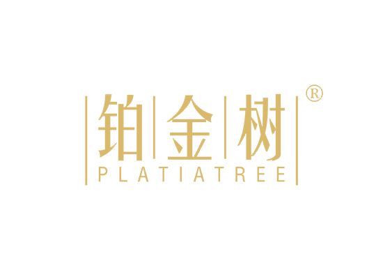 铂金树 PLATIA TREE