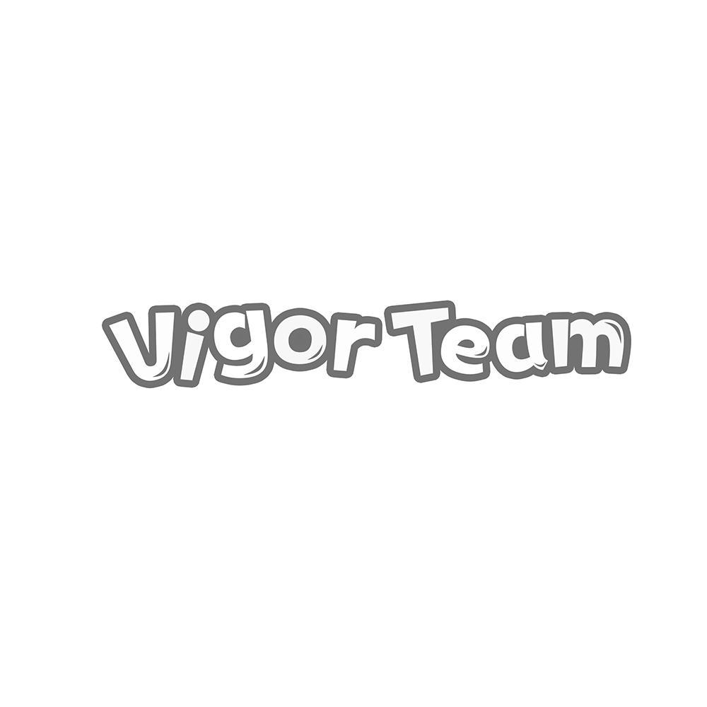 v-8945 VIGOR TEAM