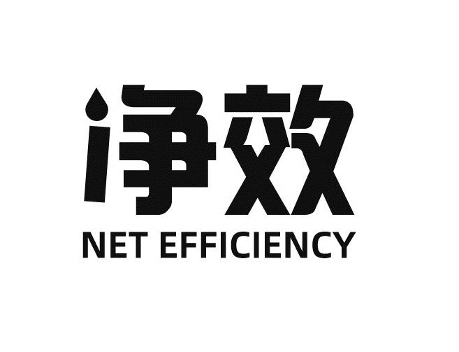 净效 NET EFFICIENCY
