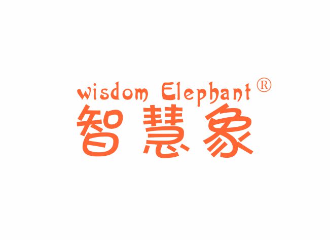 智慧象 WISDOM ELEPHANT