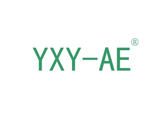 YXY-AE