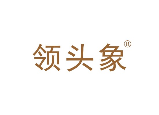 領(lǐng)頭象