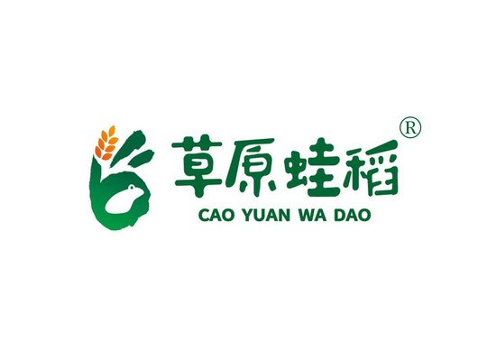 草原蛙*