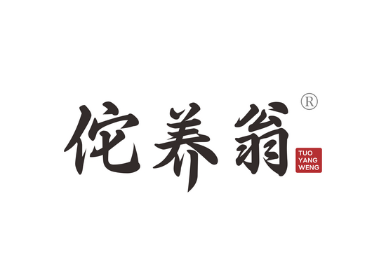 佗养翁
