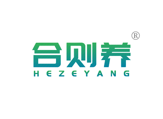 合则*HE ZE YAN*