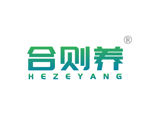 合则*HE ZE YAN*