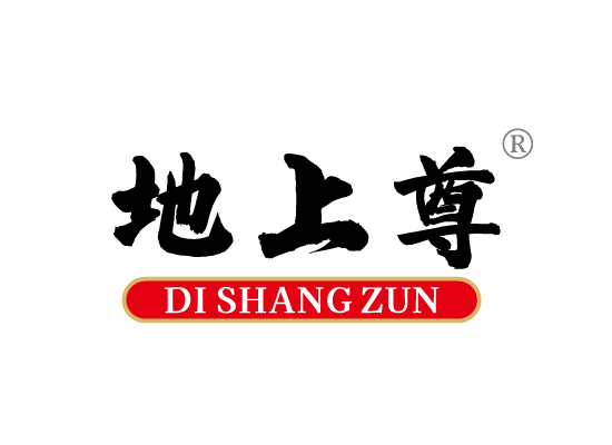 地上*DI SHANG ZU*