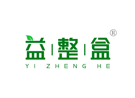 益整*YI ZHENG H*