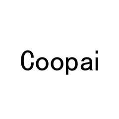 成功案例：COOPAI