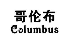 成功案例：哥伦布;COLUMBUS