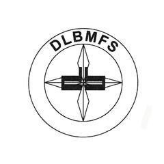 成功案例：DLBMFS