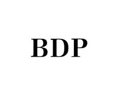 成功案例：BDP