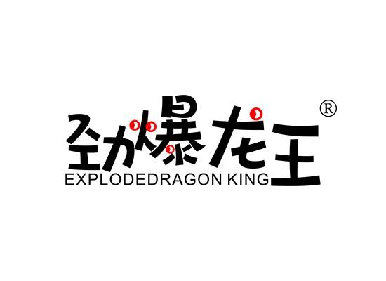 9-A2193 劲爆龙王 EXPLODE DRAGON KING
