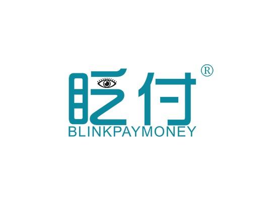 9-A2223 眨付 BLINK PAY MONEY