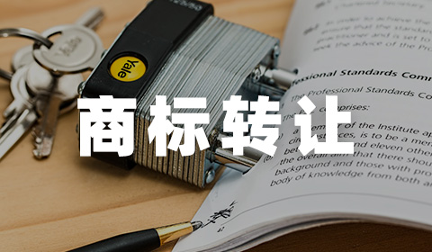 商标申请声明的深度解读与精准填写指南