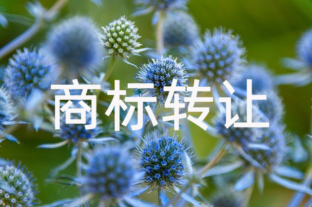 商标注册前必查原因看完少走弯路